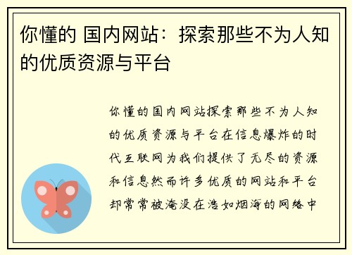 你懂的 国内网站：探索那些不为人知的优质资源与平台